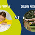 Acrilico Permanente vs. Tempera Super Lavabile: Quale scegliere?